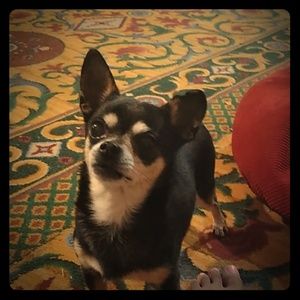 Meet your Posher, Juan